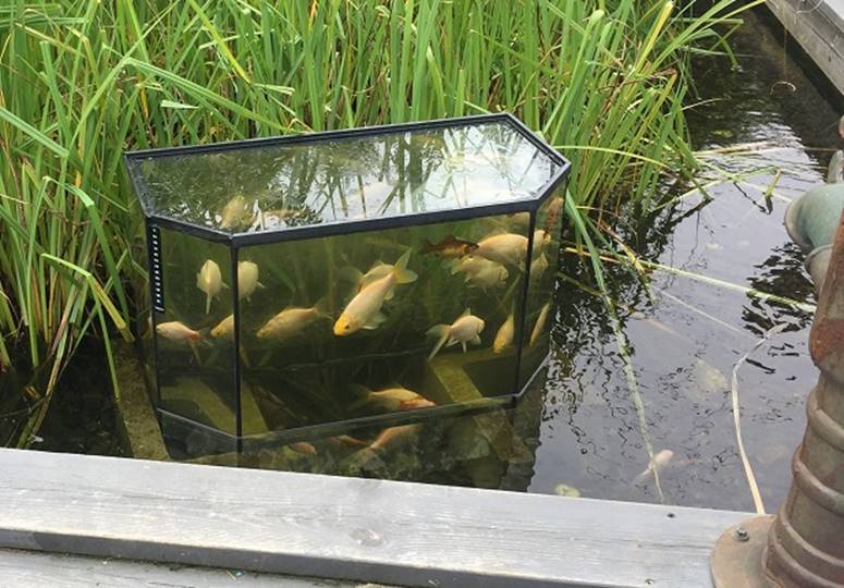 Akvarium