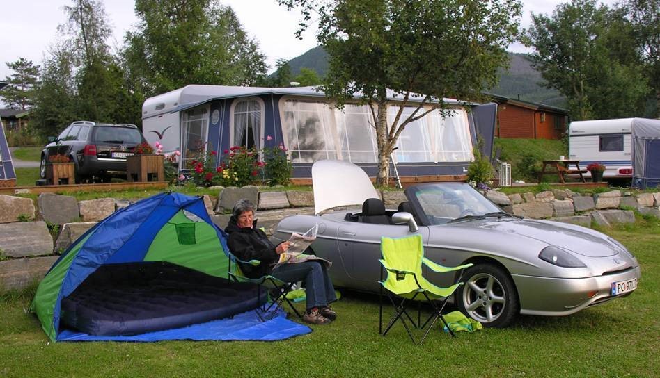 Et bilde som inneholder gress, utend�rs, tre, himmel

Automatisk generert beskrivelse