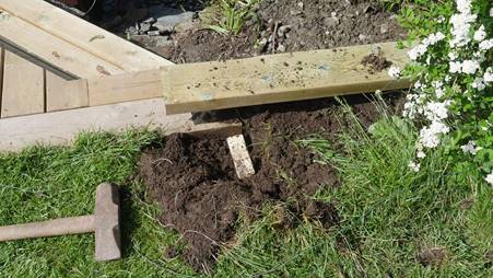 Et bilde som inneholder utendørs, gress, tre
Beskrivelse som er generert med svært høy visshet