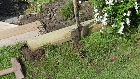 Et bilde som inneholder gress, utendørs, tre
Beskrivelse som er generert med svært høy visshet