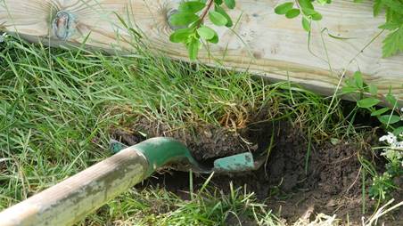 Et bilde som inneholder gress, utendørs, grønn
Beskrivelse som er generert med svært høy visshet