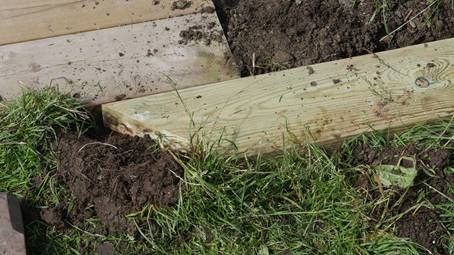 Et bilde som inneholder gress
Beskrivelse som er generert med svært høy visshet