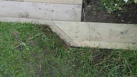 Et bilde som inneholder gress, utendørs, bygning, grønn
Beskrivelse som er generert med svært høy visshet