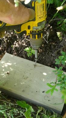 Et bilde som inneholder gress, tre, utendørs, plante
Beskrivelse som er generert med svært høy visshet