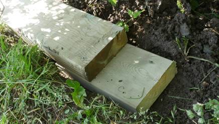 Et bilde som inneholder utendrs, tre, gress

Beskrivelse som er generert med hy visshet