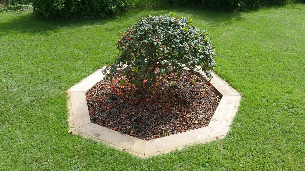 Et bilde som inneholder gress, utendrs, kake, tre

Beskrivelse som er generert med svrt hy visshet