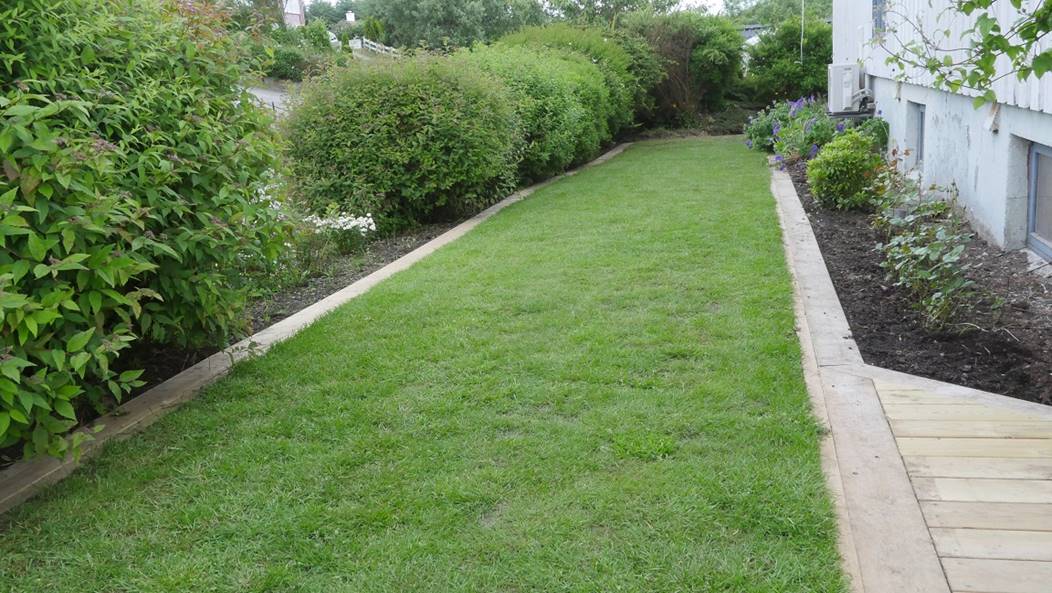 Et bilde som inneholder gress, utendrs, tre, fortau

Beskrivelse som er generert med svrt hy visshet